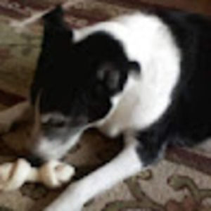 Meet your Posher, Hope